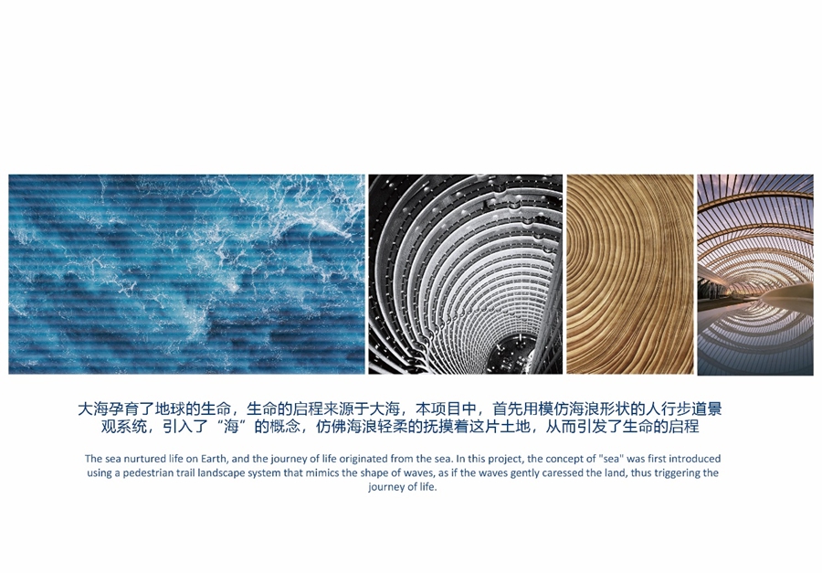 1710290297056036379.jpg 1710290297056036379.jpg